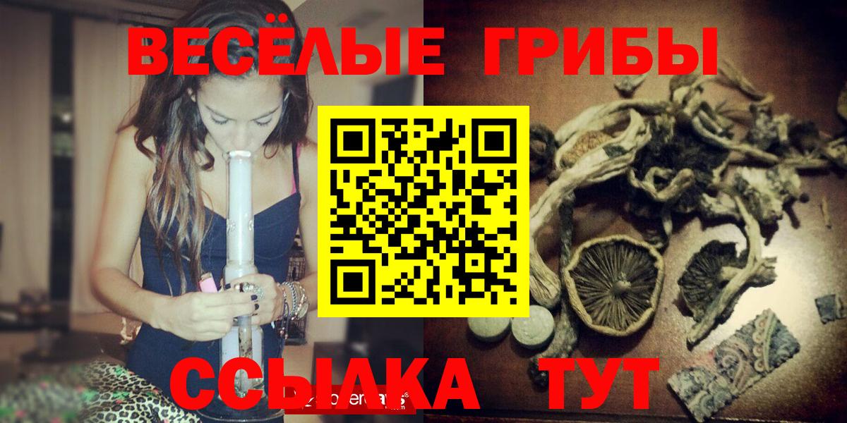 Галлюциногенные грибы Psilocybine cubensis Красноармейск