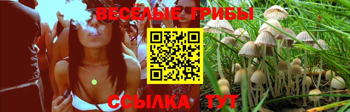 ЭКСТАЗИ  Красноармейск  КОКАИН  Каннабис  Магазины продажи наркотиков  ГАШ  Марихуана  Вейп ТГК  Меф МЯУ МЯУ кристаллы  Вход с VPN 